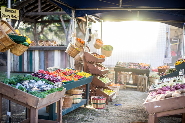 Photo of Galt's Gulch Hammond Grocery Market